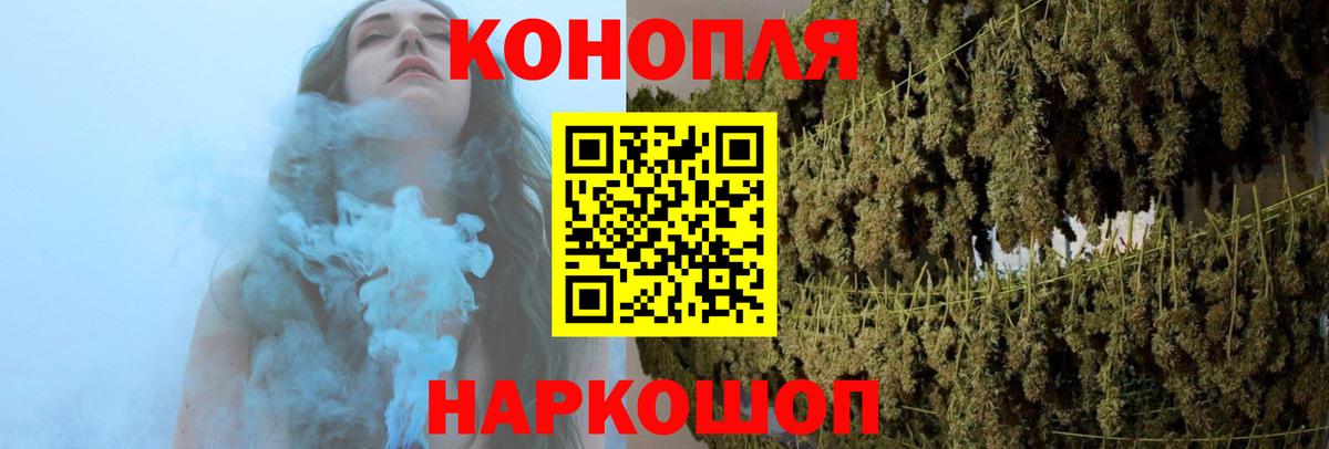 Канабис планчик  МАРИХУАНА сатива  Отрадное  Вход с VPN 